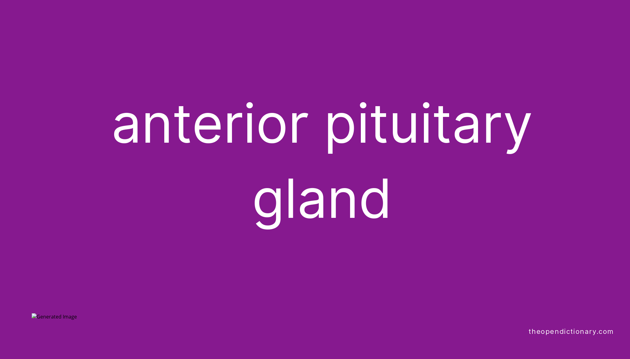 Anterior pituitary gland Meaning of Anterior pituitary gland